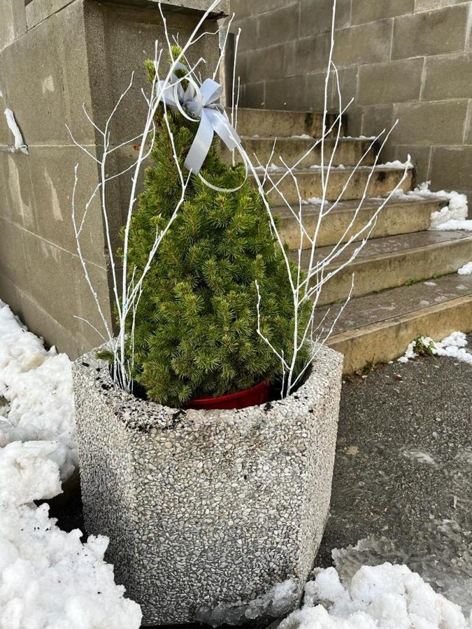 Ubytovna Kaplice Exteriör bild